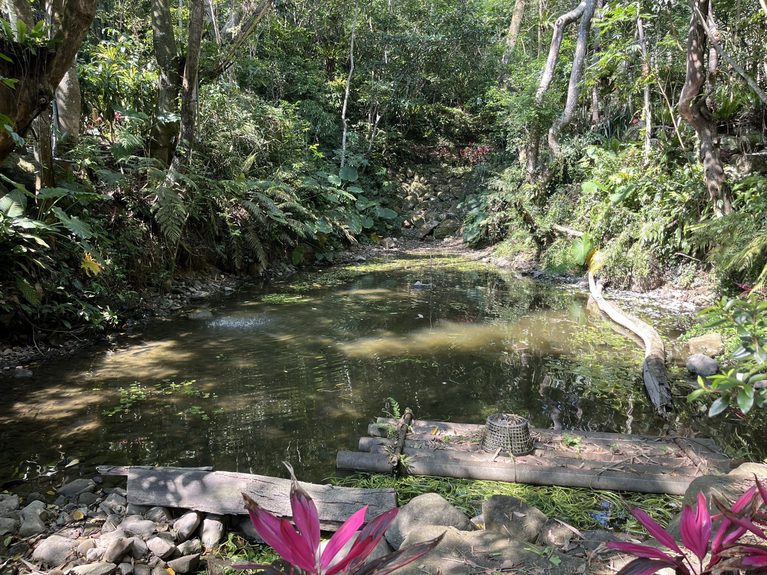 Lucca G. – Reflections on the entire trip!