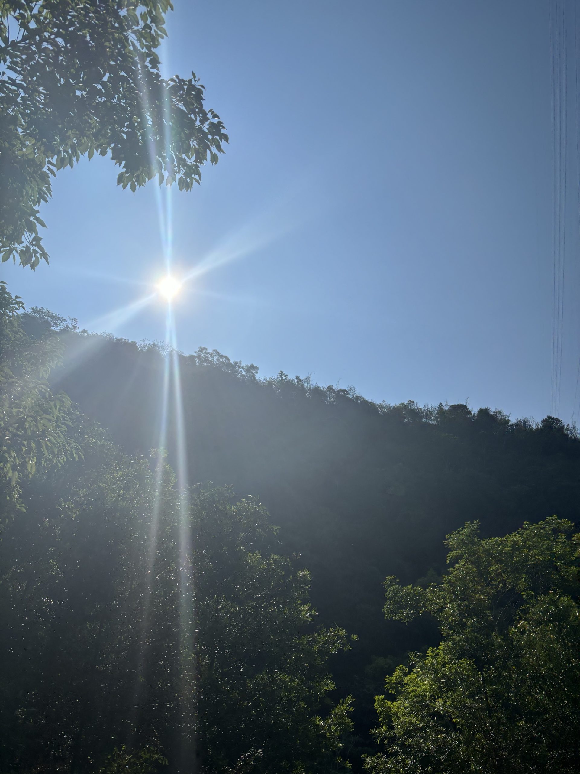 Kane J. – Reflections on the Weather of Taiwan